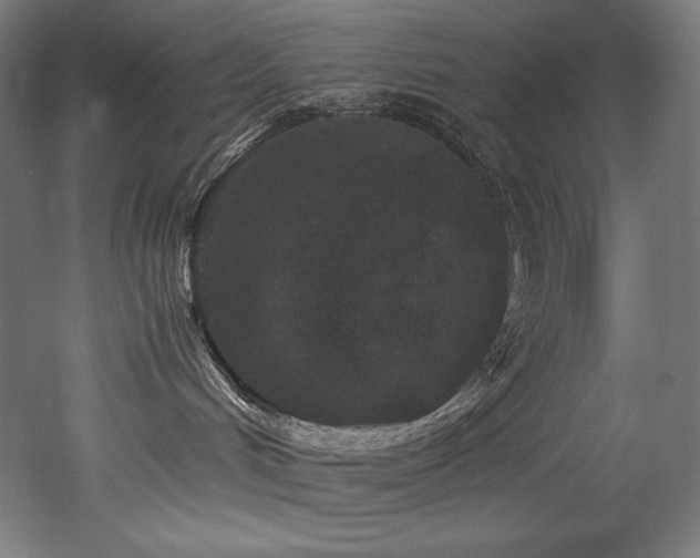 X0000052650048200507011424