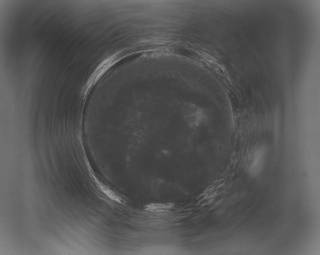 X0000052650051200507011423
