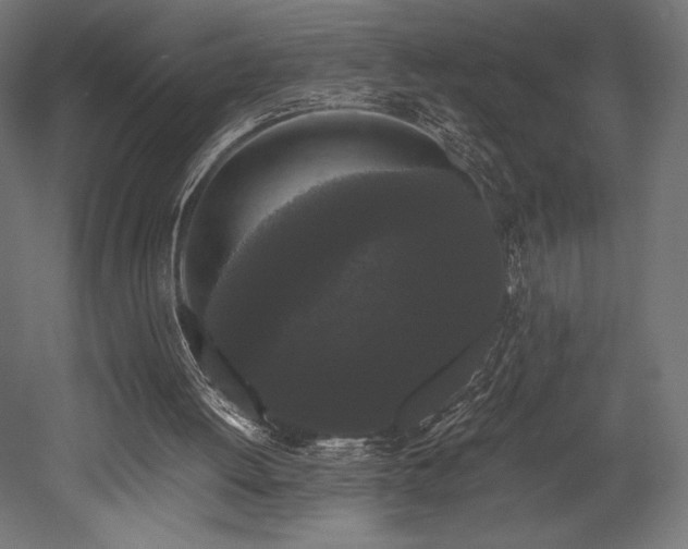 X0000052650052200507011423