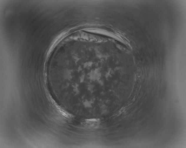 X0000052650053200507011423
