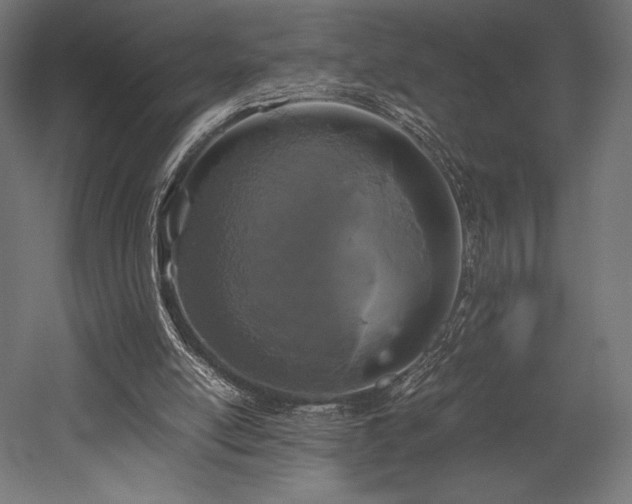 X0000052650054200507011423