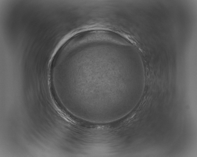 X0000052650056200507011423