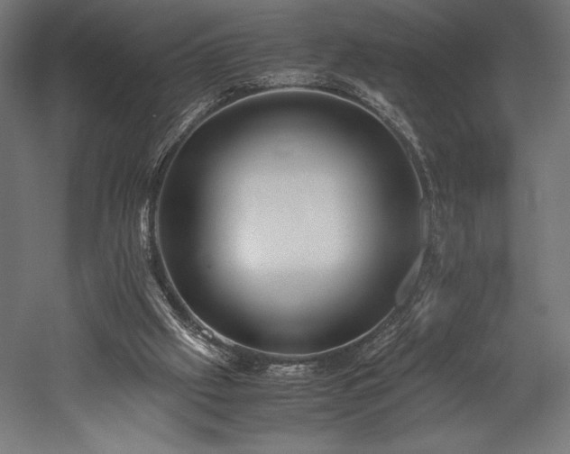 X0000052650057200507011423