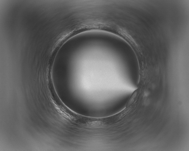 X0000052650058200507011423