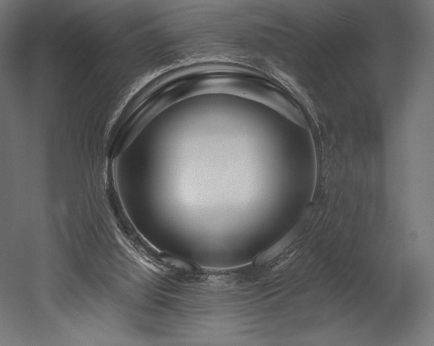 X0000052650060200507011423