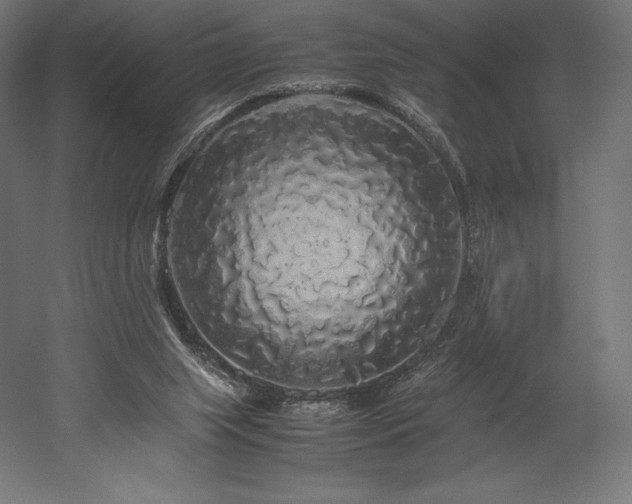 X0000052650063200507011423