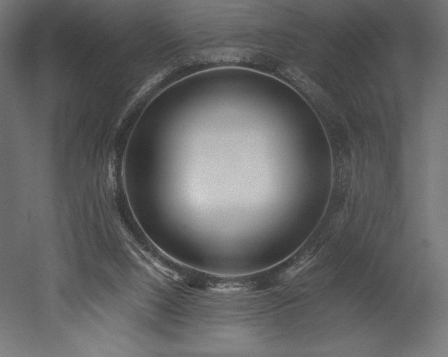 X0000052650064200507011423