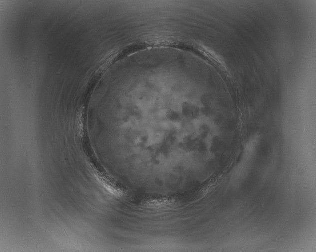 X0000052650065200507011423