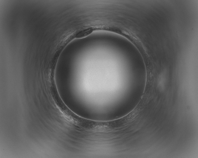 X0000052650066200507011423
