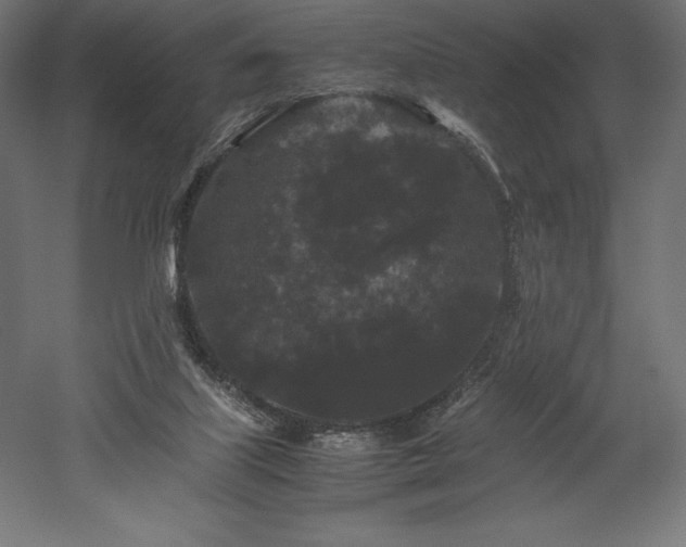 X0000052650067200507011423