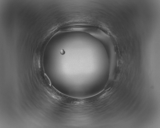 X0000052650068200507011423