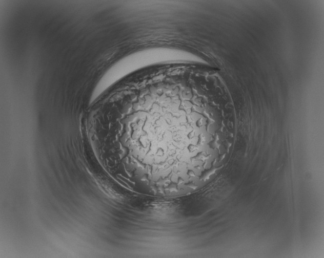 X0000052650070200507011423