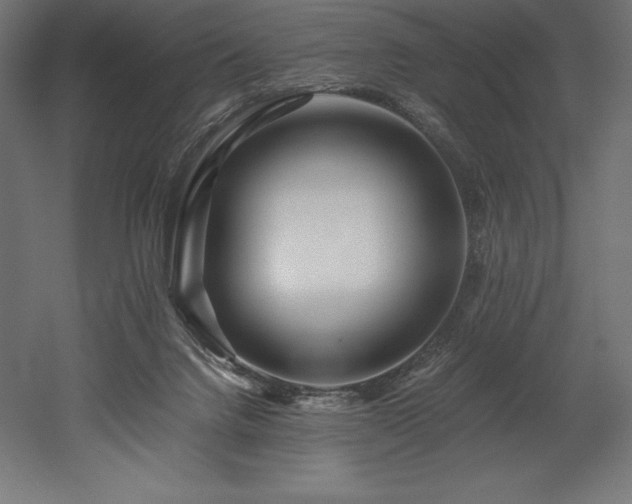 X0000052650072200507011423