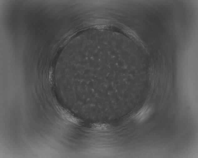 X0000052650073200507011423