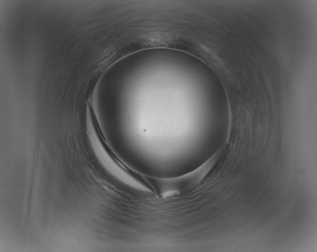 X0000052650075200507011423