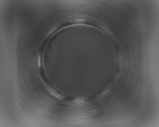 X0000052650076200507011423