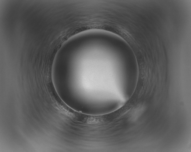 X0000052650077200507011423