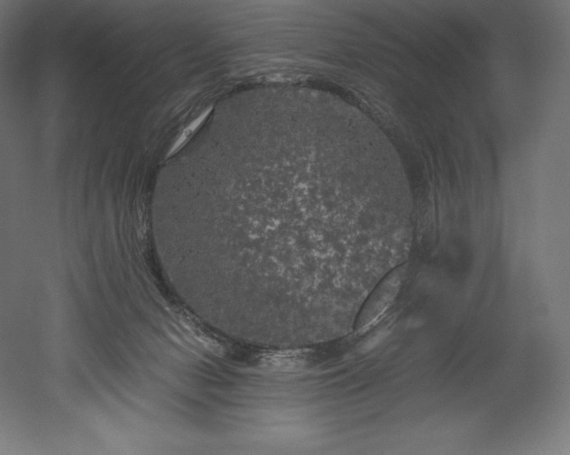 X0000052650078200507011423