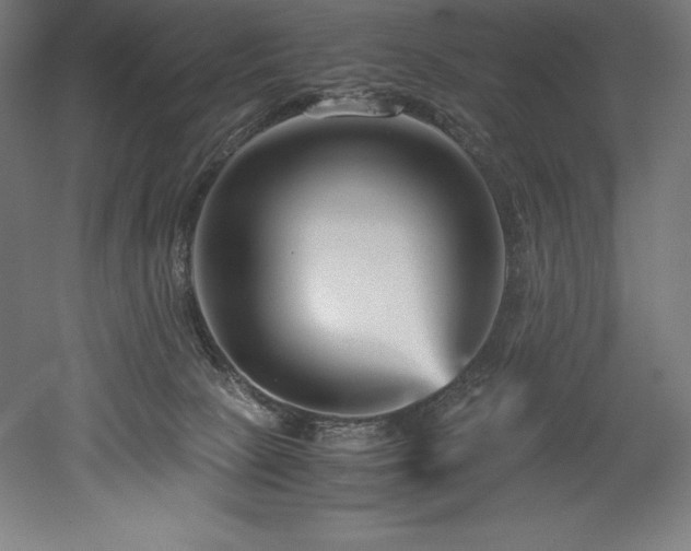 X0000052650081200507011424