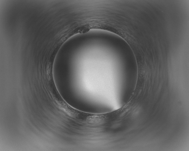 X0000052650082200507011424