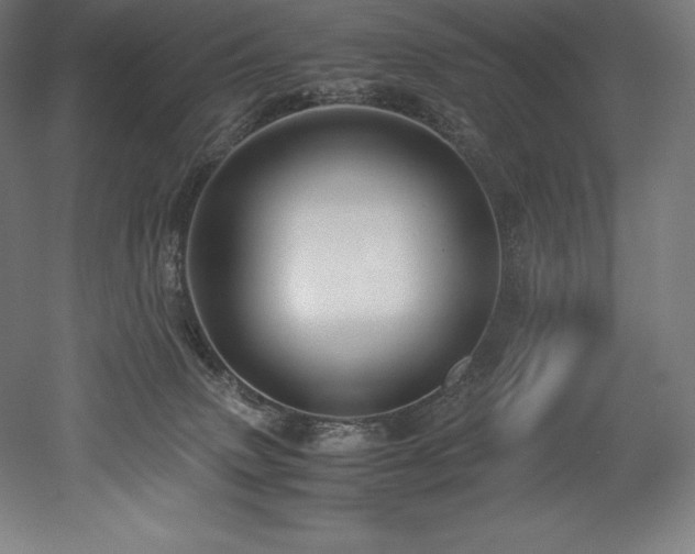 X0000052650083200507011424