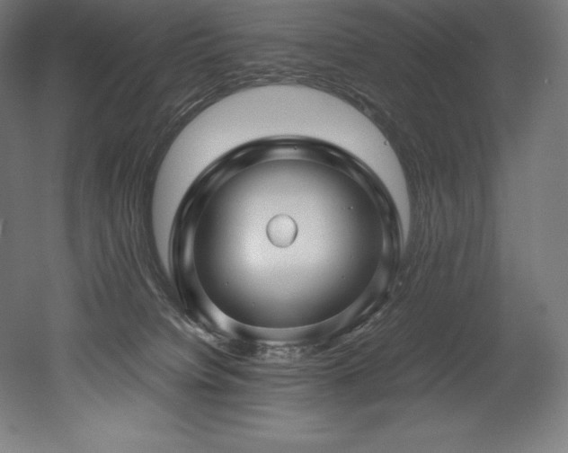 X0000052650084200507011424