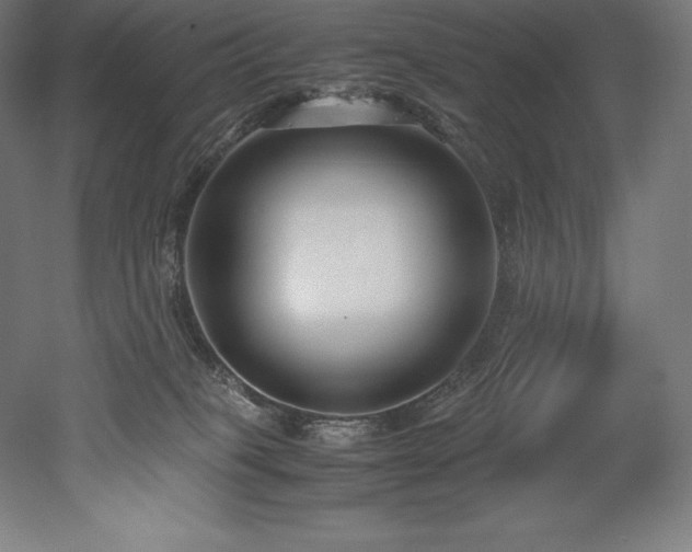 X0000052650085200507011424