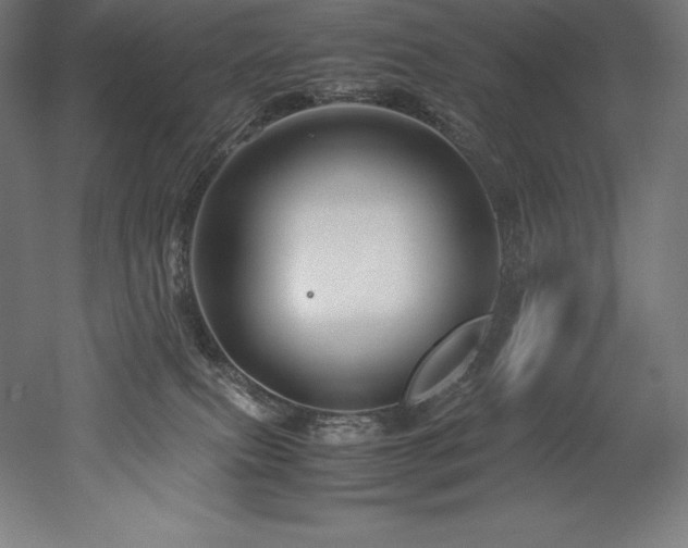 X0000052650087200507011424
