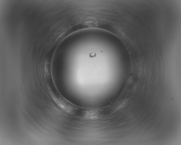 X0000052650088200507011424