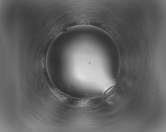 X0000052650090200507011424