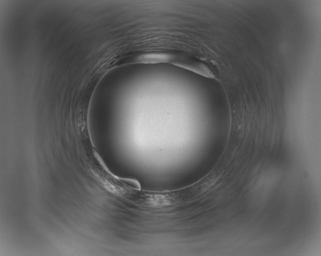 X0000052650091200507011424