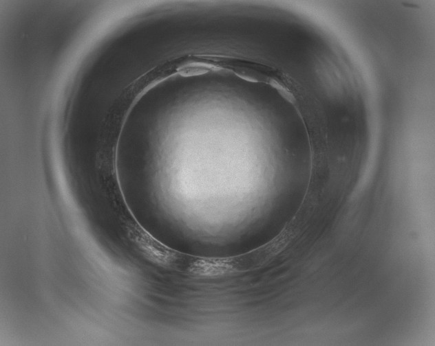 X0000052650093200507011424