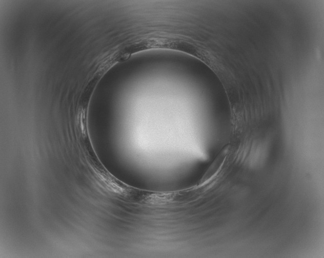 X0000052650094200507011424