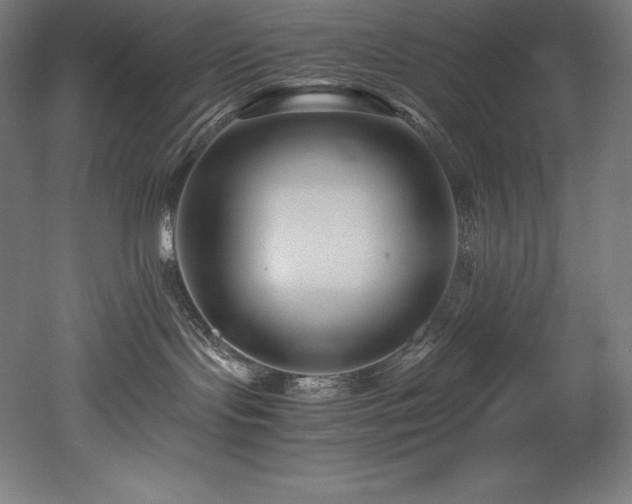 X0000052650095200507011424