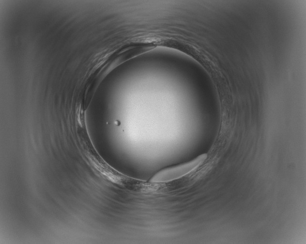 X0000052650096200507011424