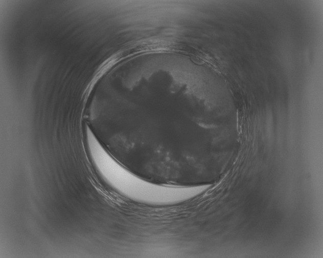 X0000052650099200507011423