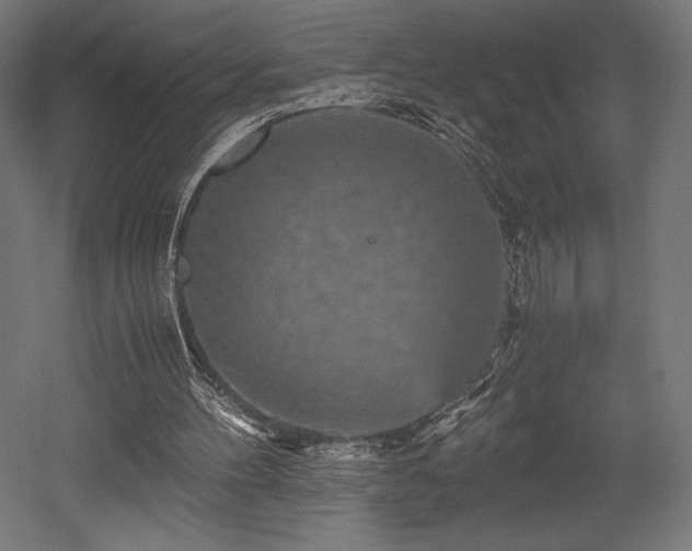 X0000052650100200507011423