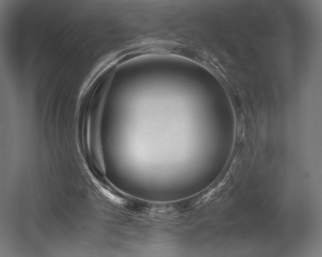 X0000052650101200507011423