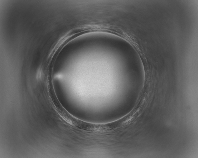 X0000052650103200507011423