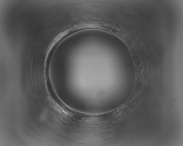 X0000052650104200507011423