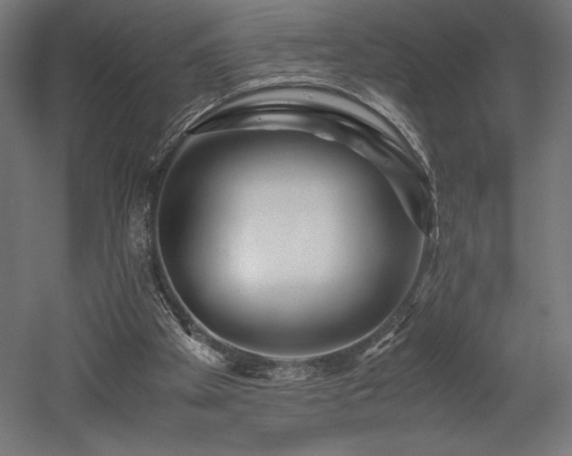 X0000052650105200507011423