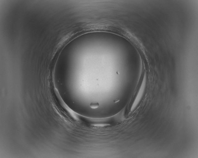 X0000052650107200507011423