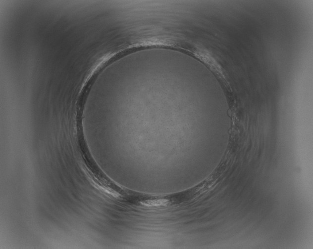 X0000052650108200507011423