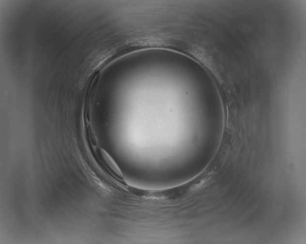 X0000052650109200507011423