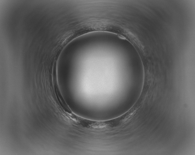 X0000052650113200507011423