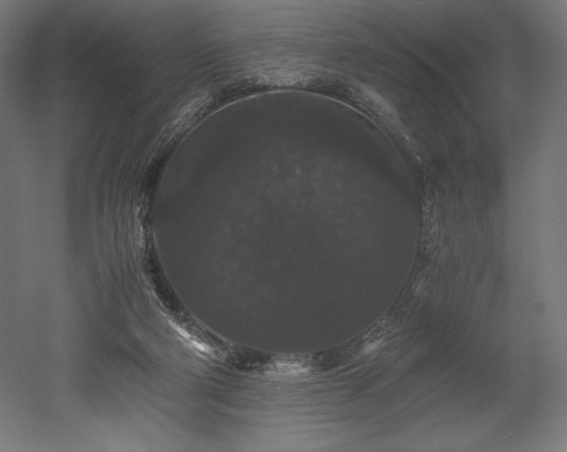 X0000052650114200507011423