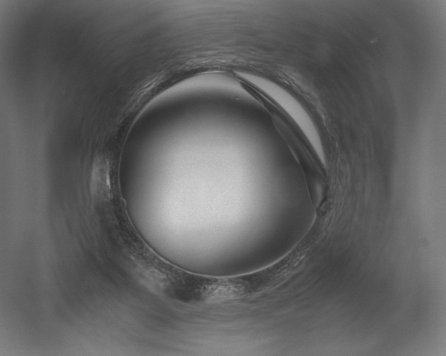 X0000052650115200507011423