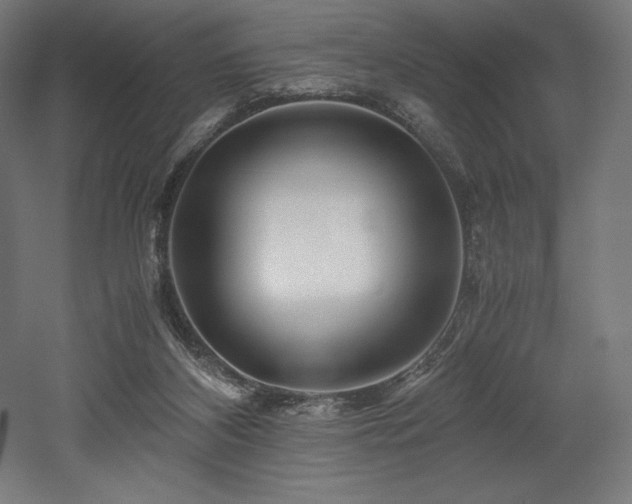X0000052650116200507011423