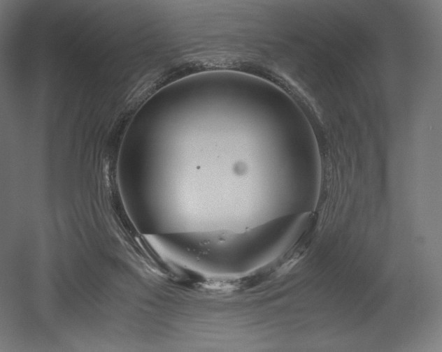 X0000052650117200507011423