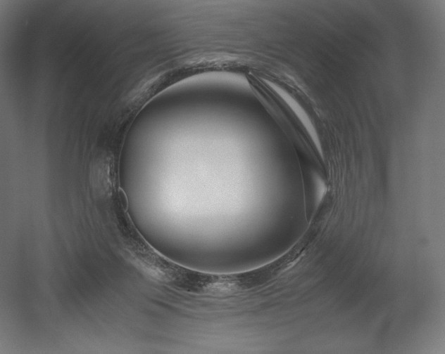 X0000052650119200507011423